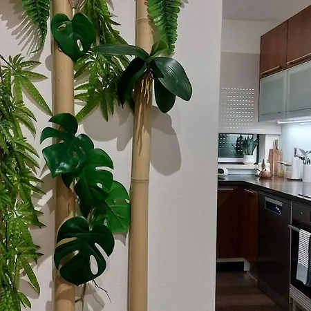 Deluxe Two-bedroom In * Fátima